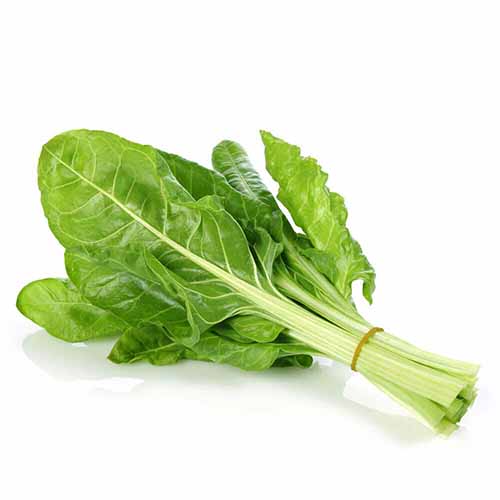 CHARD 250G