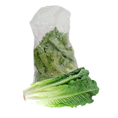 LETTUCE 250G AGSUS