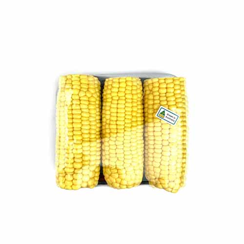SWEET CORN PEELED PACK VVF