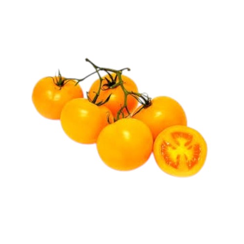 CHERRY TOMATO ON THE VINE BIC