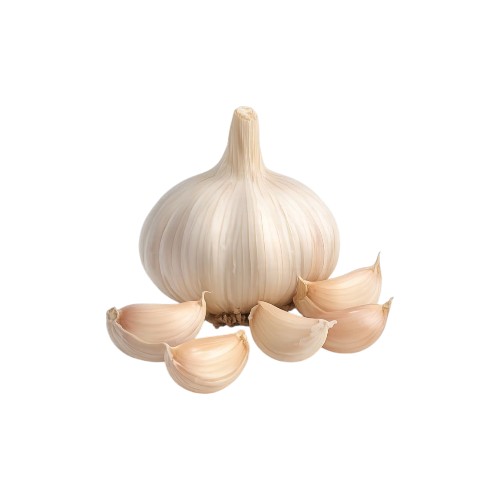 GARLIC LARGE KG FC