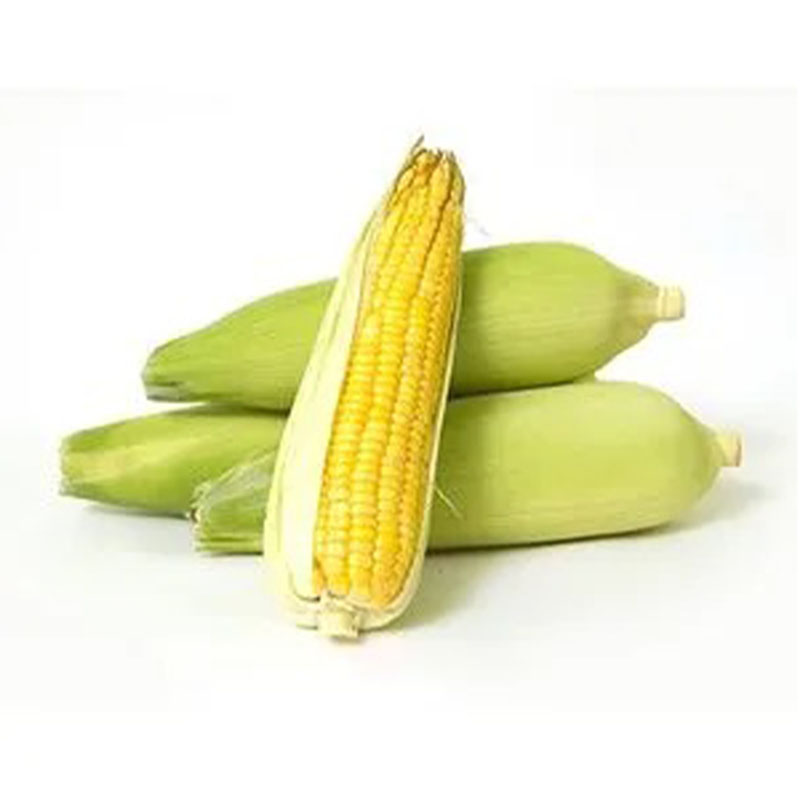 SWEET CORN SMALL 1 PCS MALF