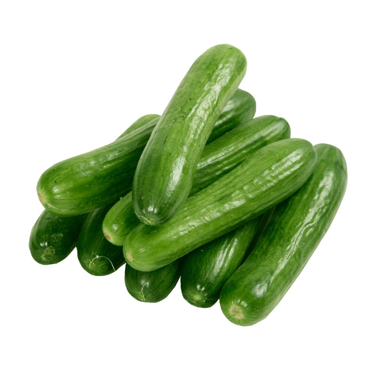 LEBANESE CUCUMBER 1KG EGFAR