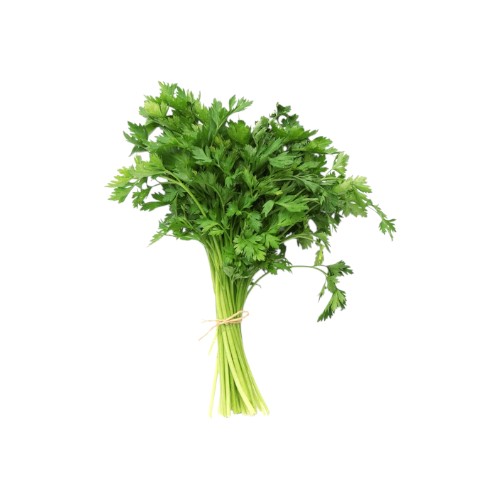 CORIANDER BUNDLE HOL