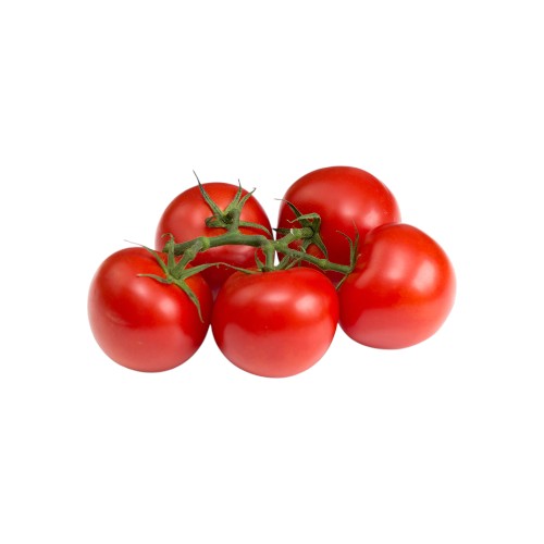 CHERRY TOMATO VINE KG LEB