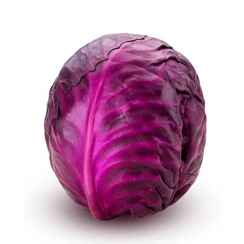 RED CABBAGE LEB