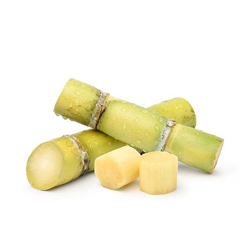 ORGANIC SUGAR CANE KG