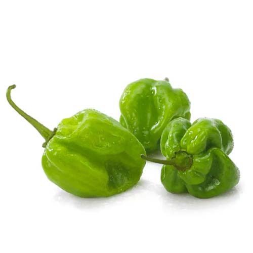 GREEN HABANERO KG LSF
