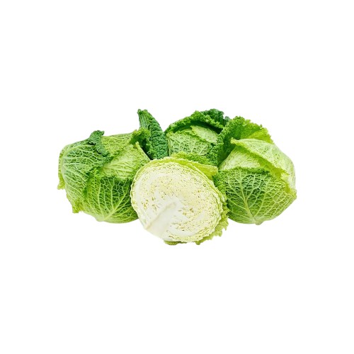 SAVOY CABBAGE KG