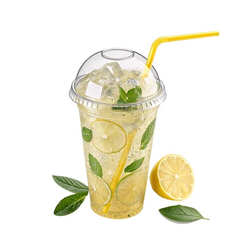 ELIXIR FRESH LEMONADE 500ML