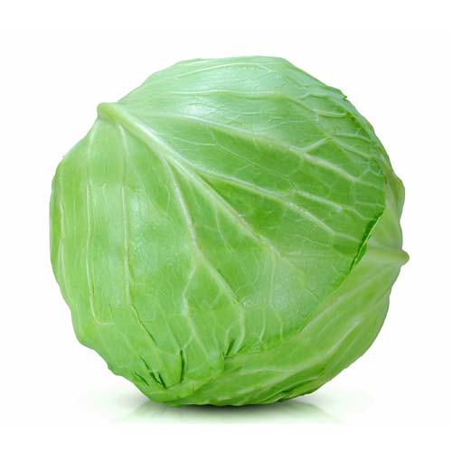 CABBAGE KG NUR