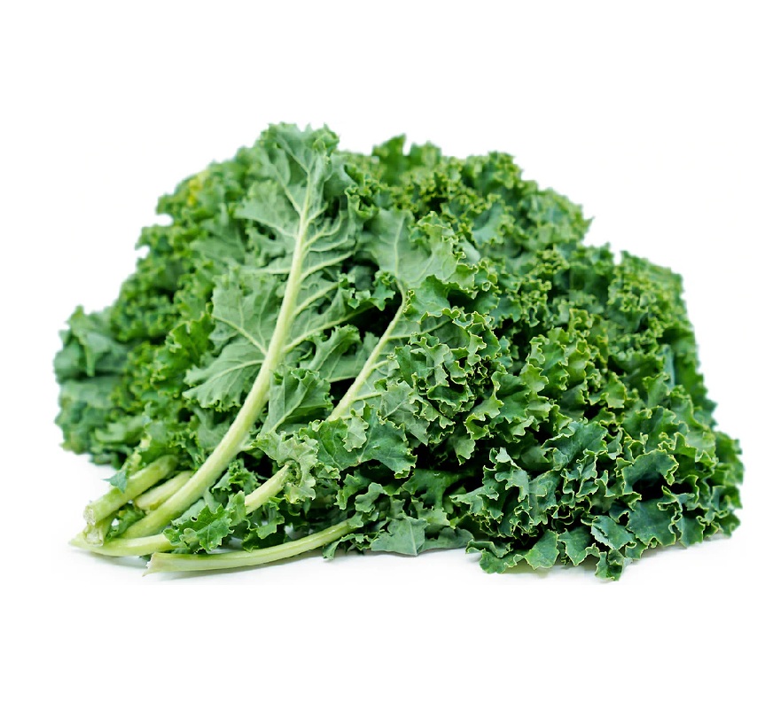FRESH KALE KG LEB