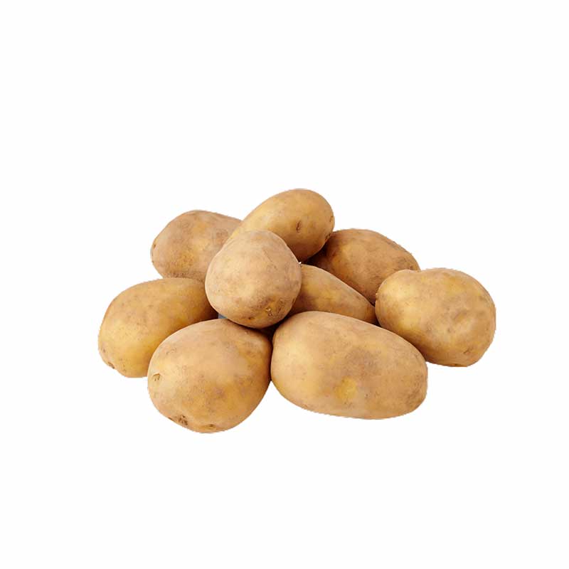 ALASEYL CUCUMBER PICKLES