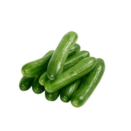 VEENLAND PISTACHE KG