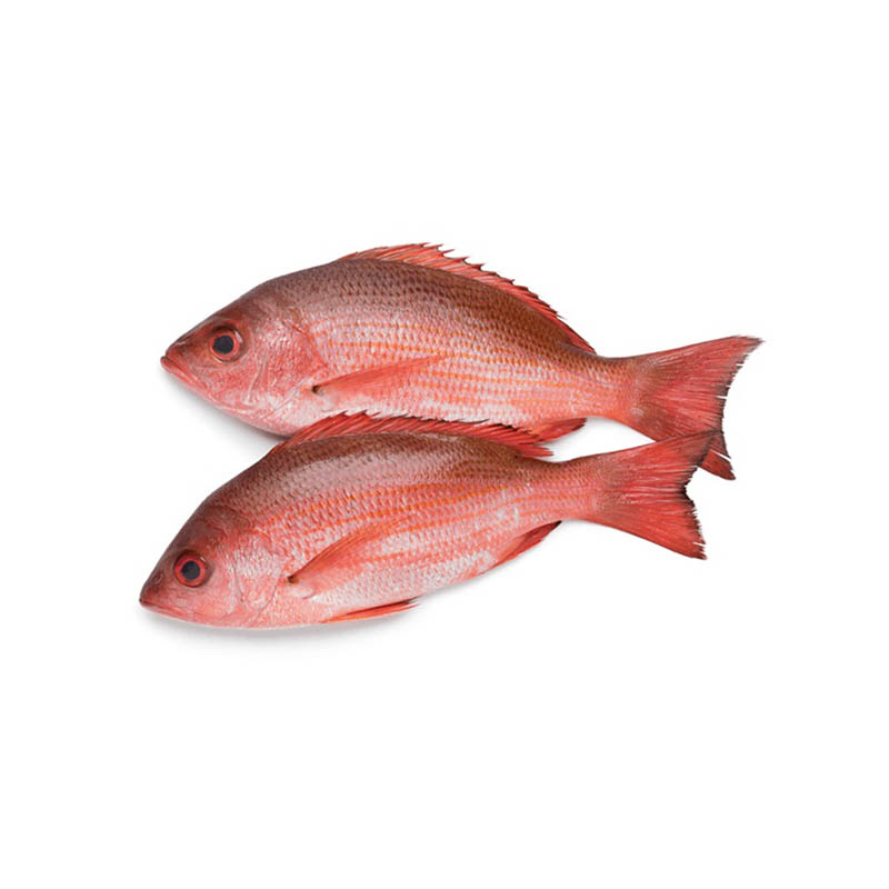 MIX COLOR PEPPER EGY