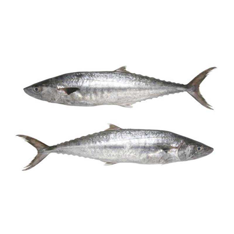 KHOURY DOUBLE CREAM KG