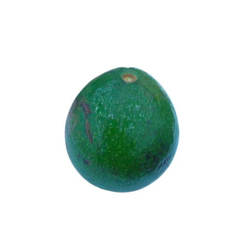 SOFE AVOCADO KG