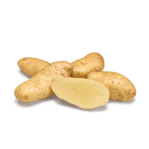 POTATO SPUNTA EXTRA KG