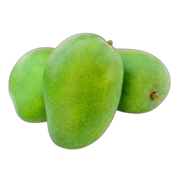 MANGO KG SPG