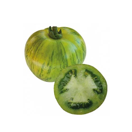 GREEN TOMATOES KG LEB