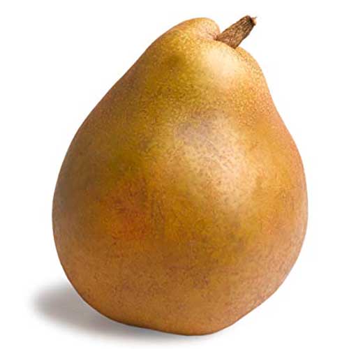 CHINESE CABBAGE KG  FC