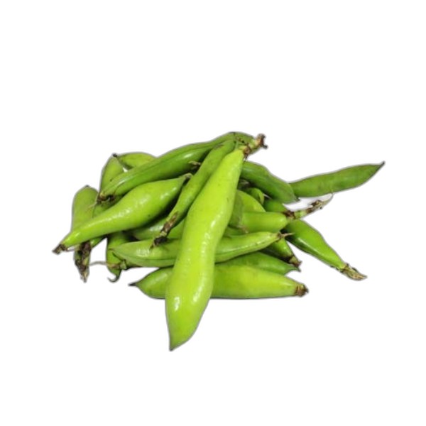 LEB FAVA BEANS KG.