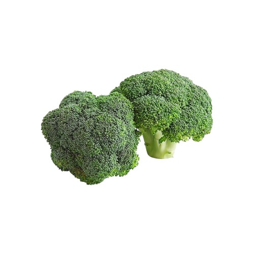 BROCCOLI KG EGY