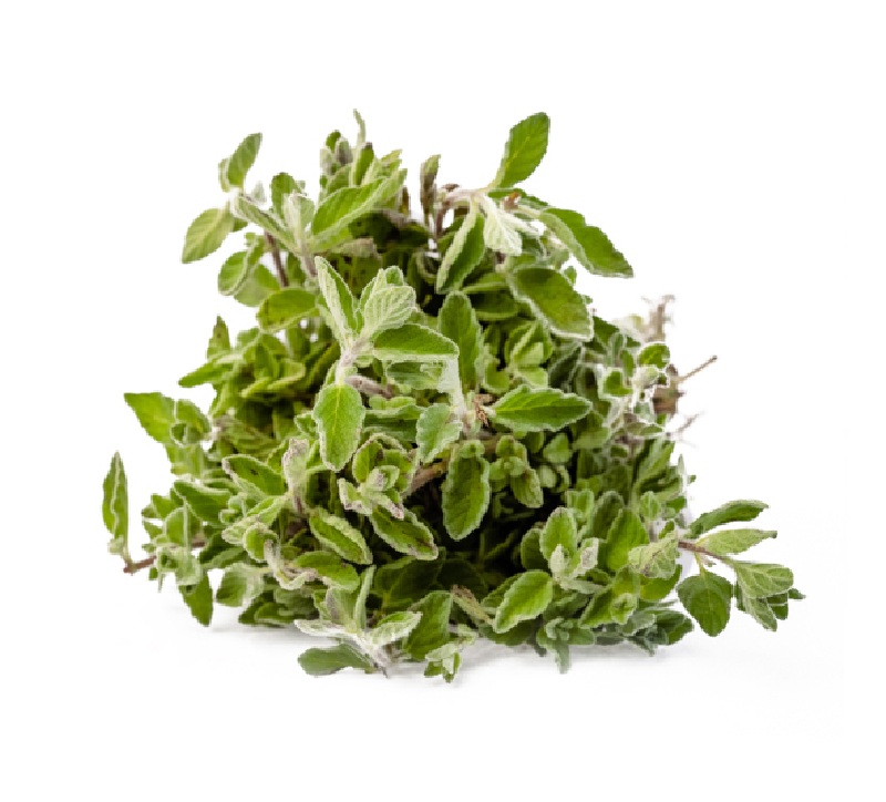 FRESH THYMEWILD ZAATAR BUNDLE L