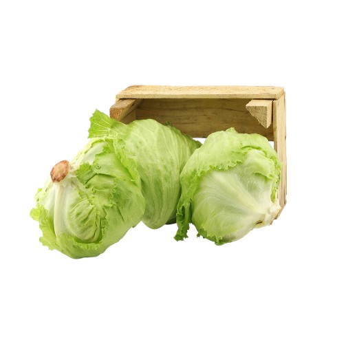 ICEBERG LETTUCE LEB