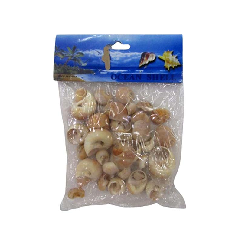 SHELLS OCEAN B-003