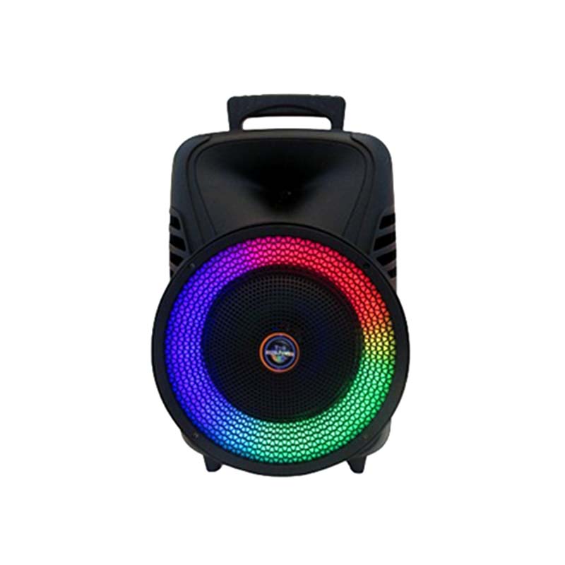 AVCROWNS SPEAKER 8 IN CH-855