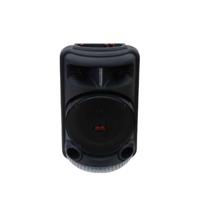 AVCROWNS SPEAKER 8 IN A0-829