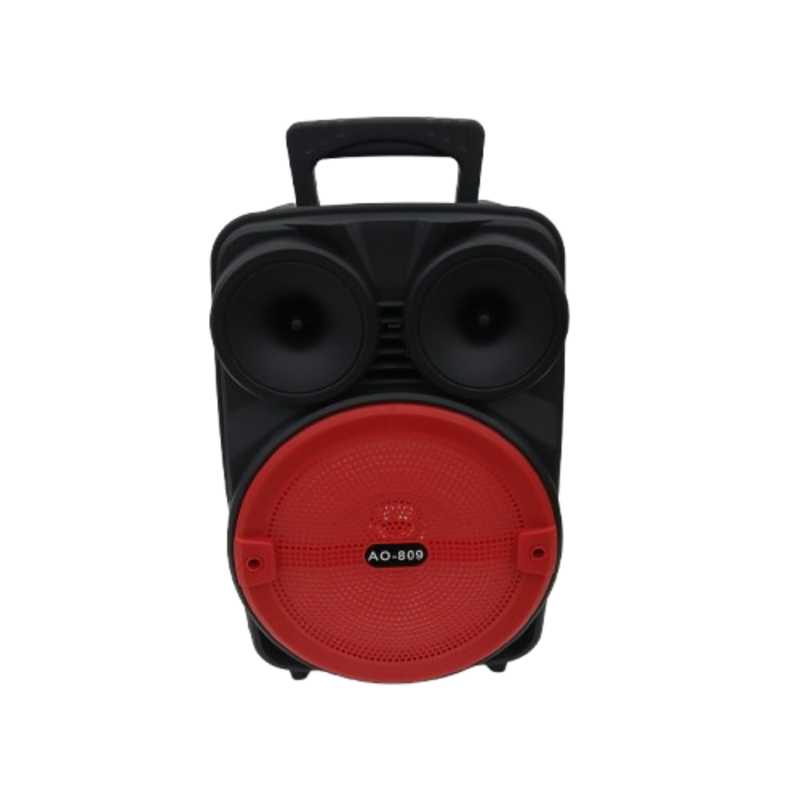 AVCROWNS SPEAKER 8 IN A0-809