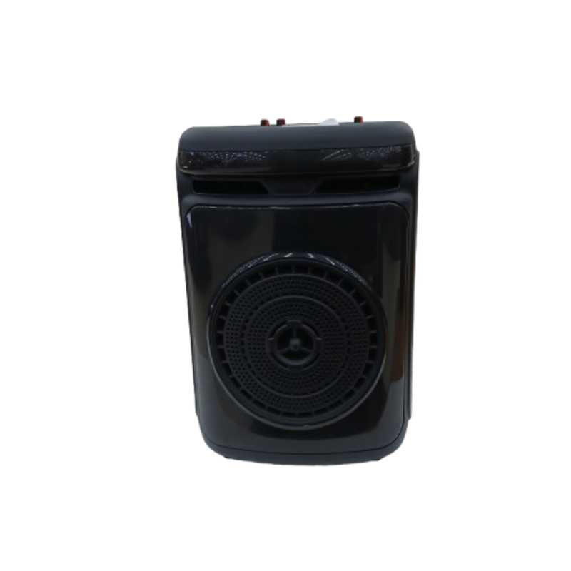 AVCROWNS SPEAKER 8 IN A0-857