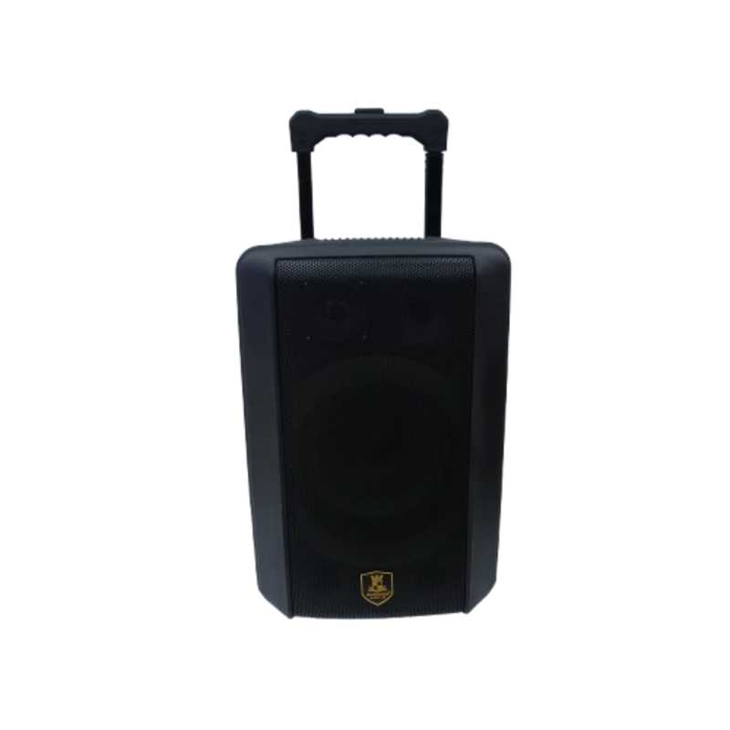 AVCROWNS SPEAKER 8 IN A0-881