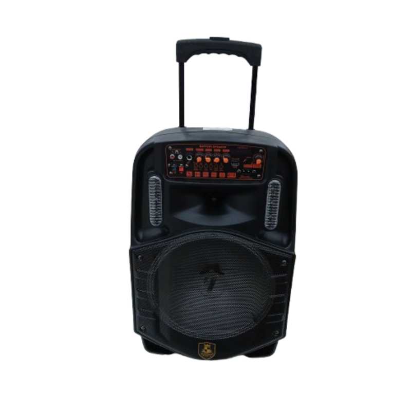 AVCROWNS SPEAKER 12 IN CH-8612