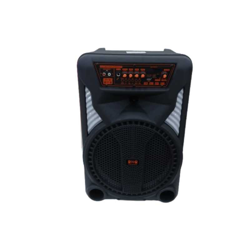 AVCROWNS SPEAKER 12 IN AO-1207