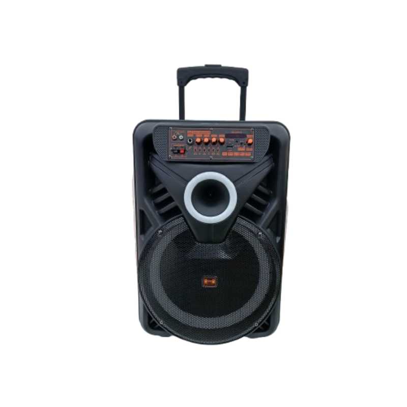 AVCROWNS SPEAKER 12 IN AO-1208