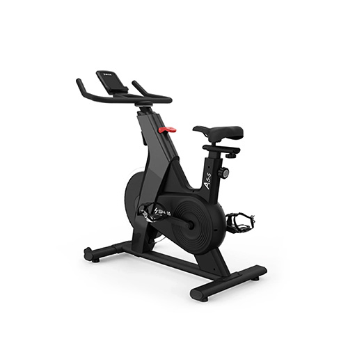 SHUA HOME SPIN BIKE SH-B599