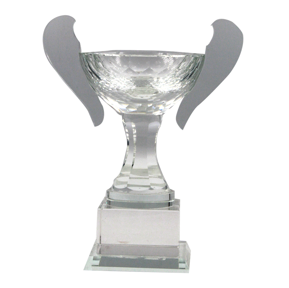 TROPHY GLASS ZY010C