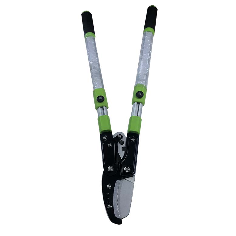 GARDEN ANVIL LOOPER BSD-5262