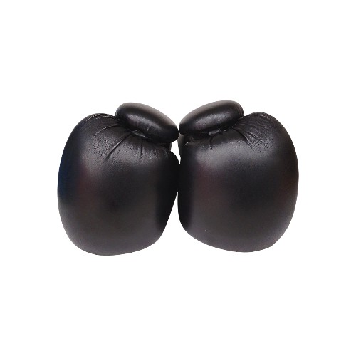 GLOVES BOXING HJ-G129