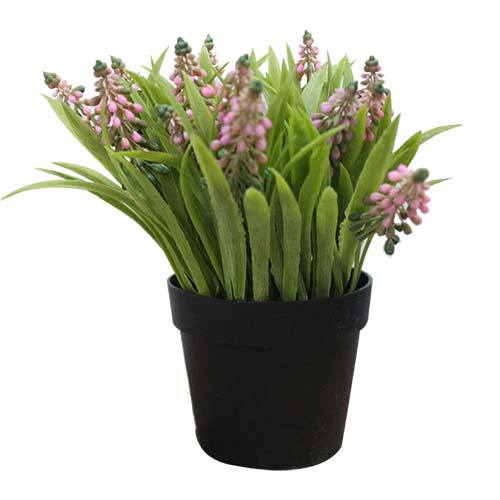 FLOWER PLANT IN POT FY039-145