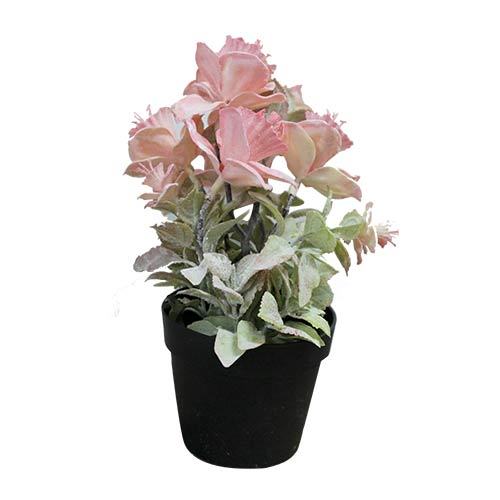 FLOWER PLANT IN POT FY032146