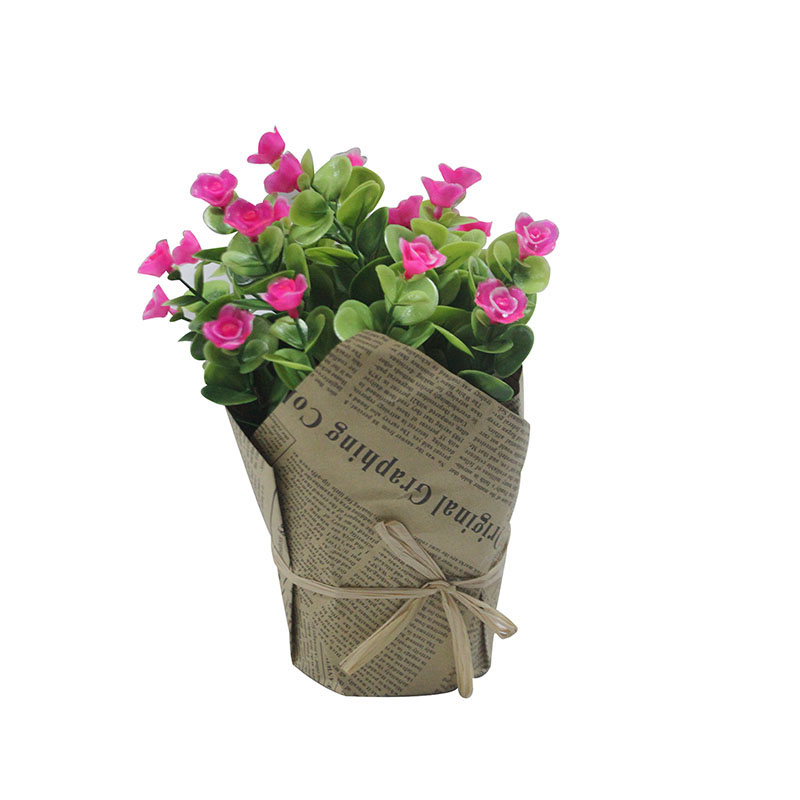 FLOWER PLANT IN POT ZG7316