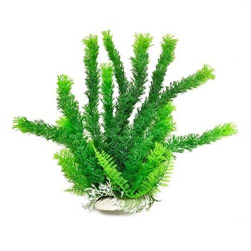 AQUARIUM PLANT AP-1025B