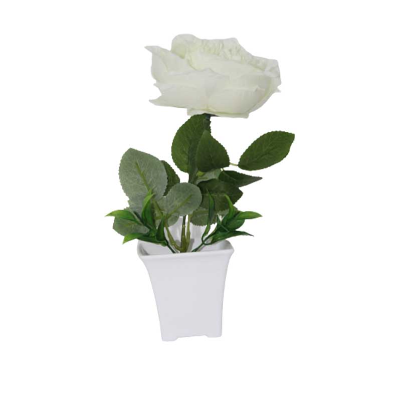 FLOWER IN POT DS8005