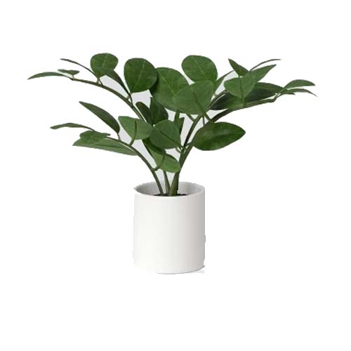 FLOWER IN POT DS8004