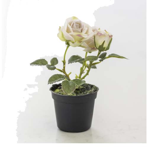 FLOWER IN POT DS8001