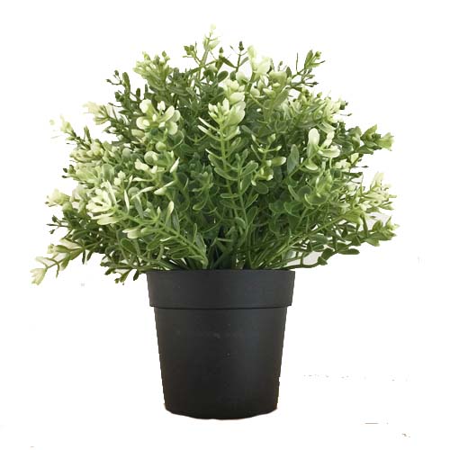 FLOWER IN POT DS3071055